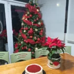Instalaciones