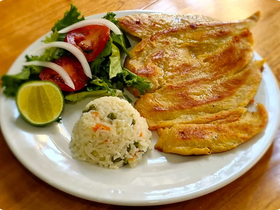 Plato de comida Milanesa de pollo y verduras y arroz